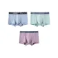 3-Pack (Gray Blue/Cyan/Gray Purple)