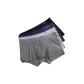 Light Gray, Starry Sky, Royal Blue, Black