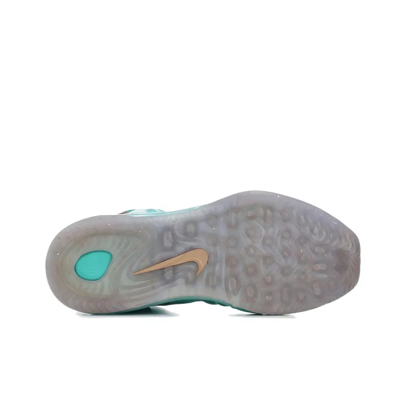Nike Hyperposite Statue Of Liberty-4