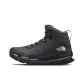 Black Purple