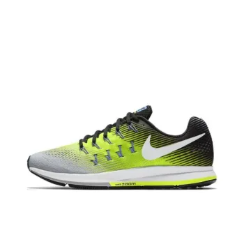 Nike Air Zoom Pegasus 33 Matte Silver Women's