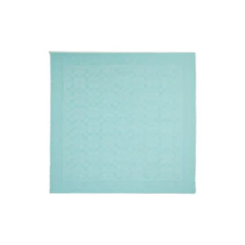 COACH Cotton Knit Scarves Women's Blue