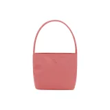 Raspberry Pink