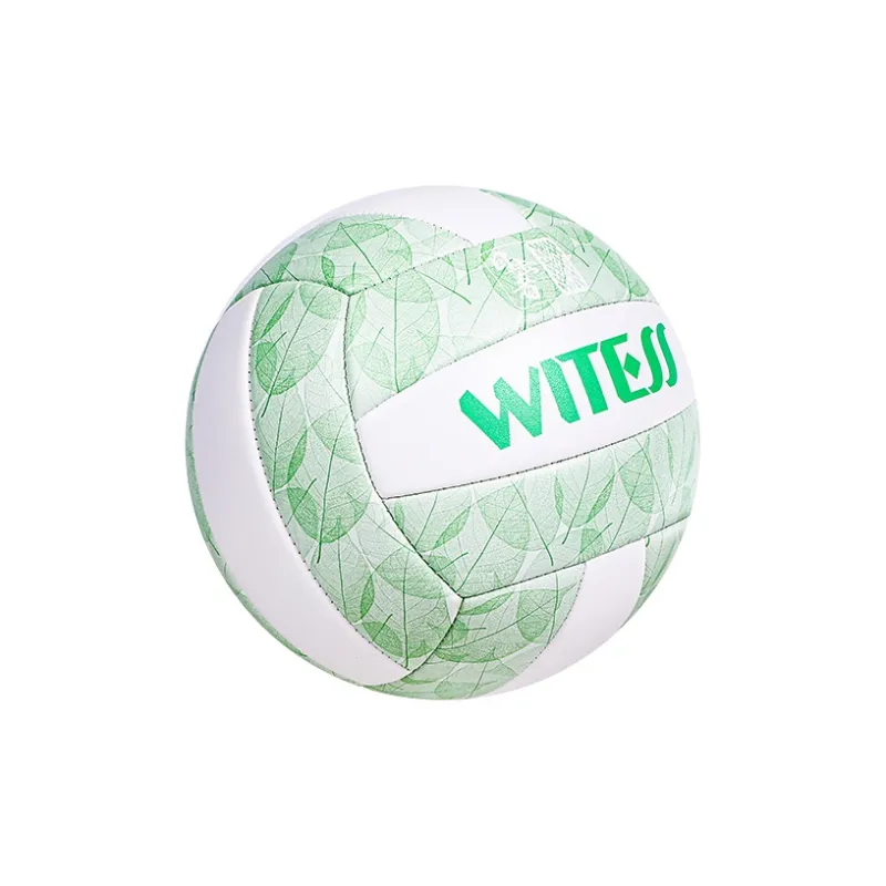 WITESS Volleyball-13