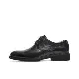 Black (Perforated)