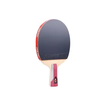 DHS Ping Pong Paddles