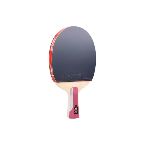 DHS Ping Pong Paddles