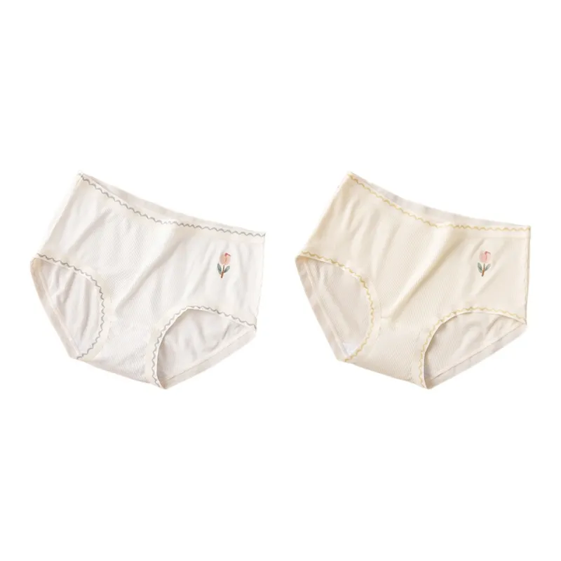PLANDOO Underpants Women's 2 Pack-10