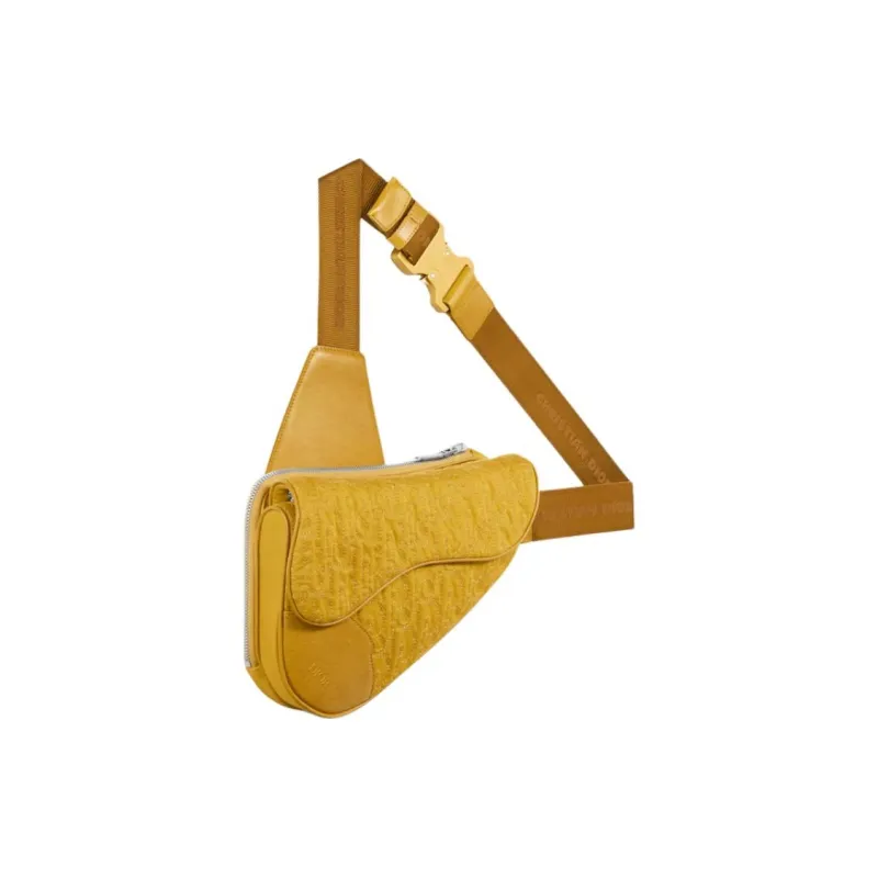 DIOR Technical Fabric Saddle Bag, Shoulder Bag, Crossbody Bag Women's Yellow-1