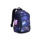 Dolphin 29173C