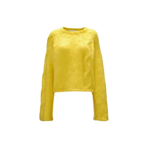 JW Anderson Sweaters Women's Yellow