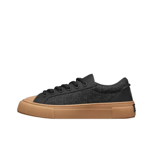 STONE ISLAND x DIOR B33 Platform Shoes Skateboard Shoes Men's Black
