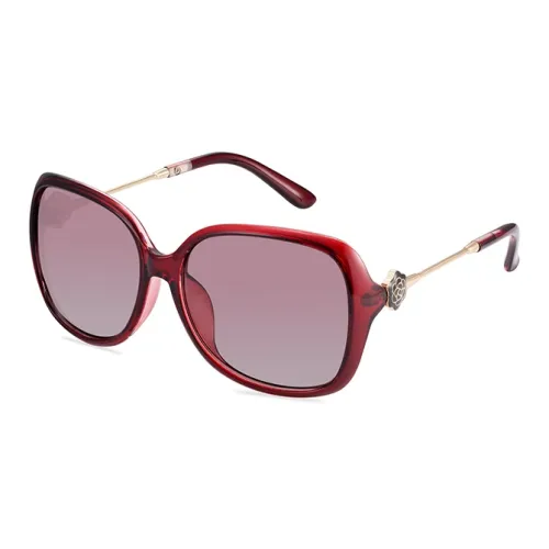 EQUIPMENTELEGANT PC Irregular Shape Sunglasses Unisex
