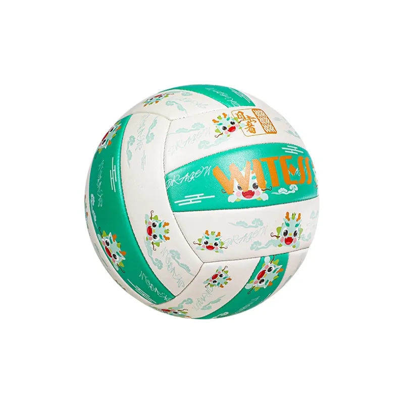 WITESS Volleyball-2