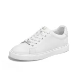 White-Hidden Wedge 2