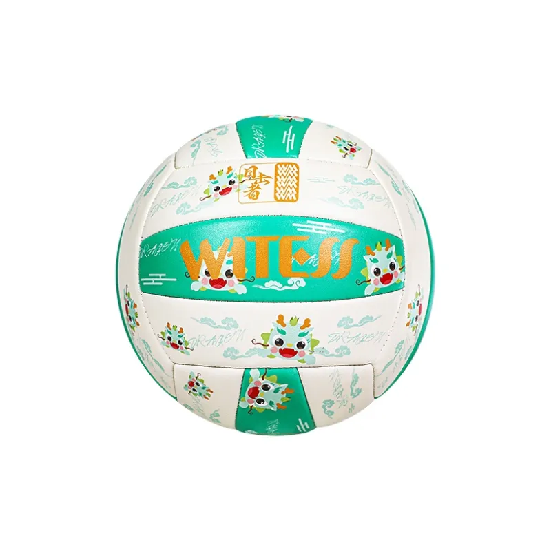 WITESS Volleyball-1