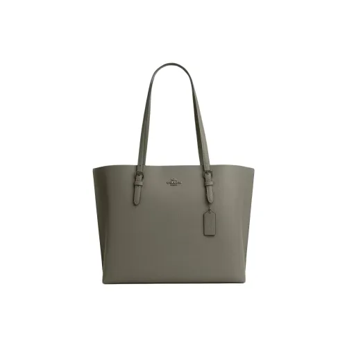 COACH Eggstone Grain Leather Tote Bag Shopping Bag Shoulder Bag Handbag Large Size Women's Army Green