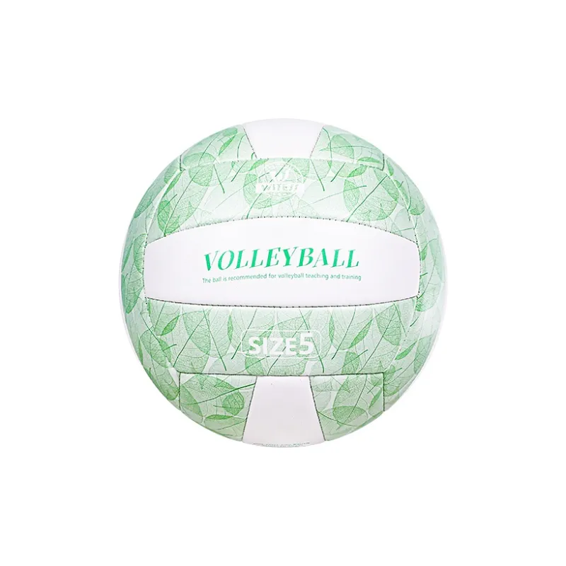 WITESS Volleyball-16