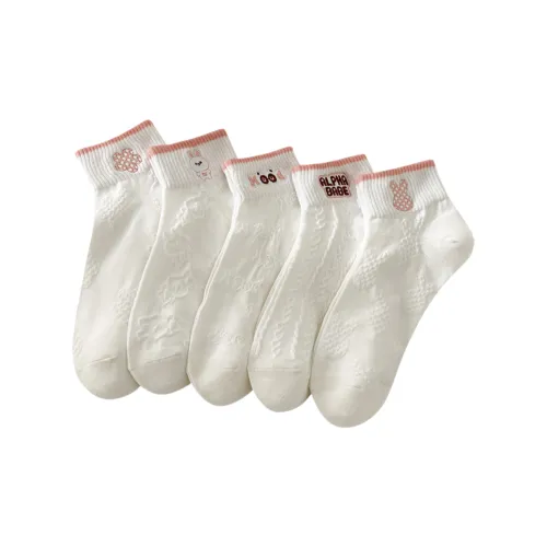 Gentle welcome Women's Socks