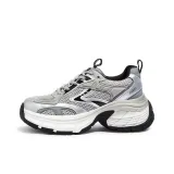 Gray/Silver
