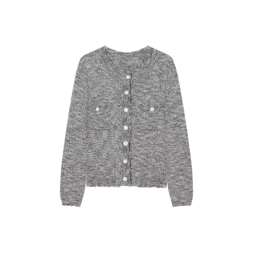 THE SEA LIFE Knitwear Women's Glacier Gray