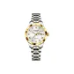 Gold Case White Dial Two-Tone Gold Steel Band