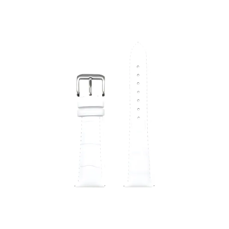 Dasuo Tissot DW, Longines, Casio, MIDO, Seiko, Omega, IWC, Cartier Compatibility Watch Band Genuine Leather Material-31