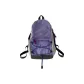 Gray Purple