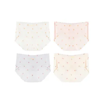 Pretty Lady Underpants Women's 4 Pack