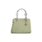 Bag+Dust Bag