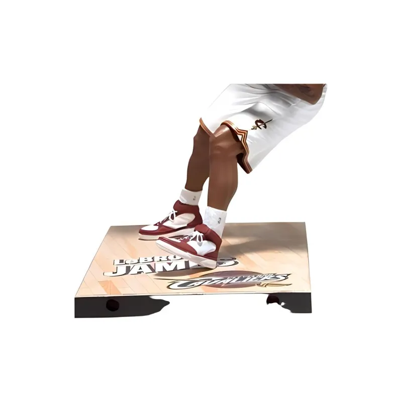 McFARLANE Mike Farren LeBron James NBA Collection 26th Scale Figures 15.2cm-2