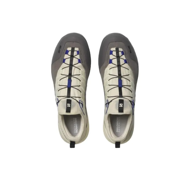 SALOMON Alpinway Advanced 'Almond Milk Plum Kitten'-2
