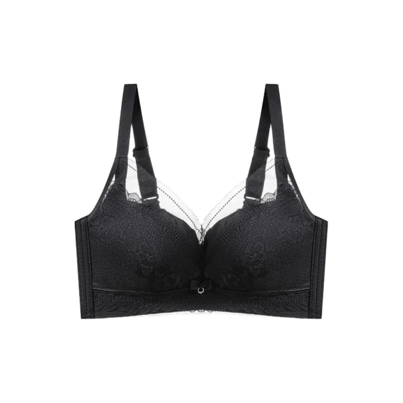 Lanza Women's Bras-4