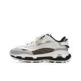 White/Metallic Silver