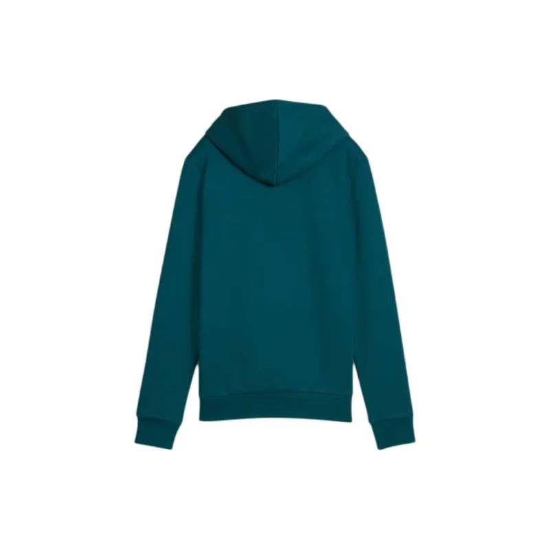 PUMA Essentials Logo FL Hoodie Sweatshirt Women's Cool Green-1