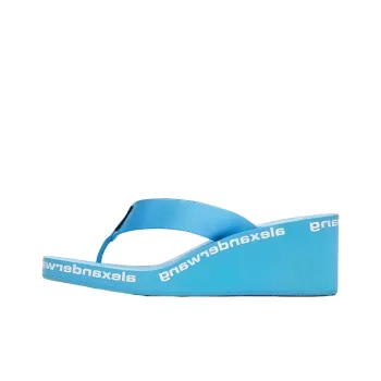 Alexander Wang Flip Flops Women's