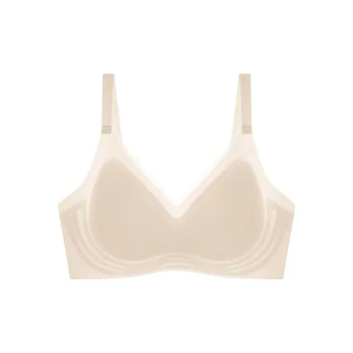 Lanza Women's Bras