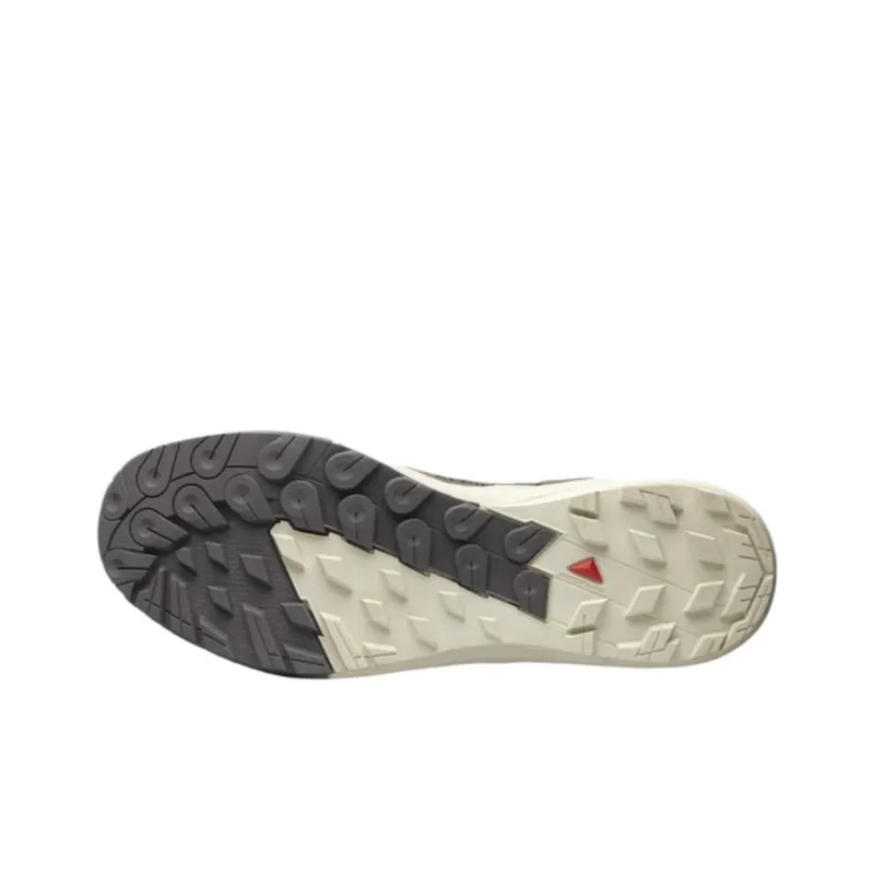 SALOMON Alpinway Advanced 'Almond Milk Plum Kitten'-4