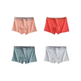 4 Pack (B Set-Luxury Trendy-Pink+Red+Green+Light Gray)