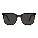 Tortoiseshell/C2
