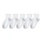 5 Pack (5 White)