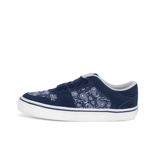 Ollieskate Skateboard Shoes Unisex Low-Top Blue/White