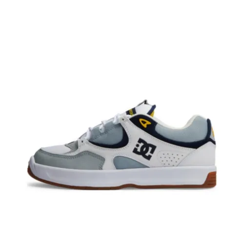 DC Shoes Lynx Zero Wear resistant And Lightweight Low Top Skateboard Shoes Men's Blue Gray