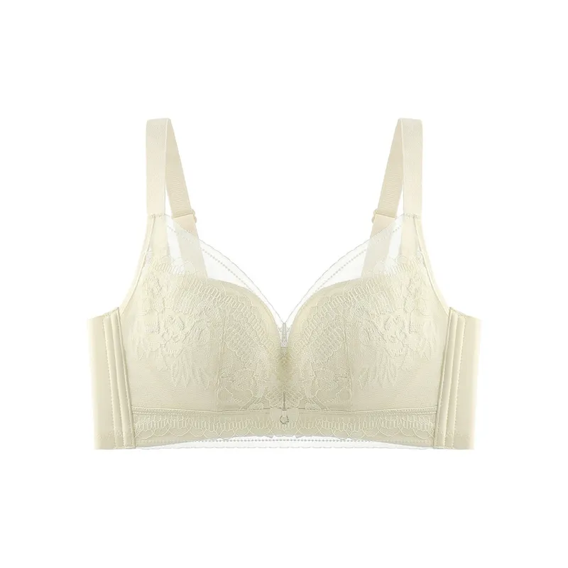 Lanza Women's Bras-5