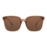 Tea Brown Lens with Translucent Tea Brown Frame/B0B