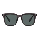 Bright Transparent Gray (Polarized Lens)/EEJ