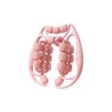 Dai Mo Pink-25 Rounds