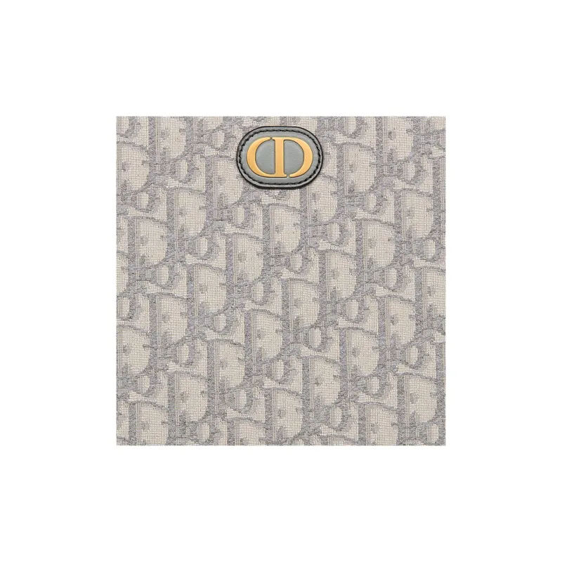 DIOR 30 Montaigne Fabric Toiletry Bags Clutches Medium Size Women's Gray-4