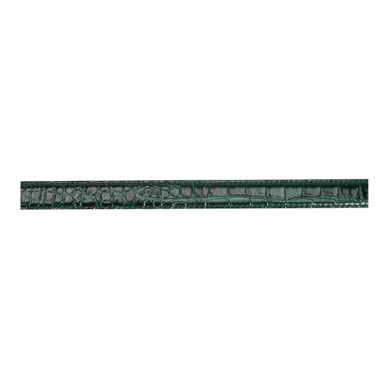 Balenciaga Cow Leather Belts Women's Green Width 1.9cm-3