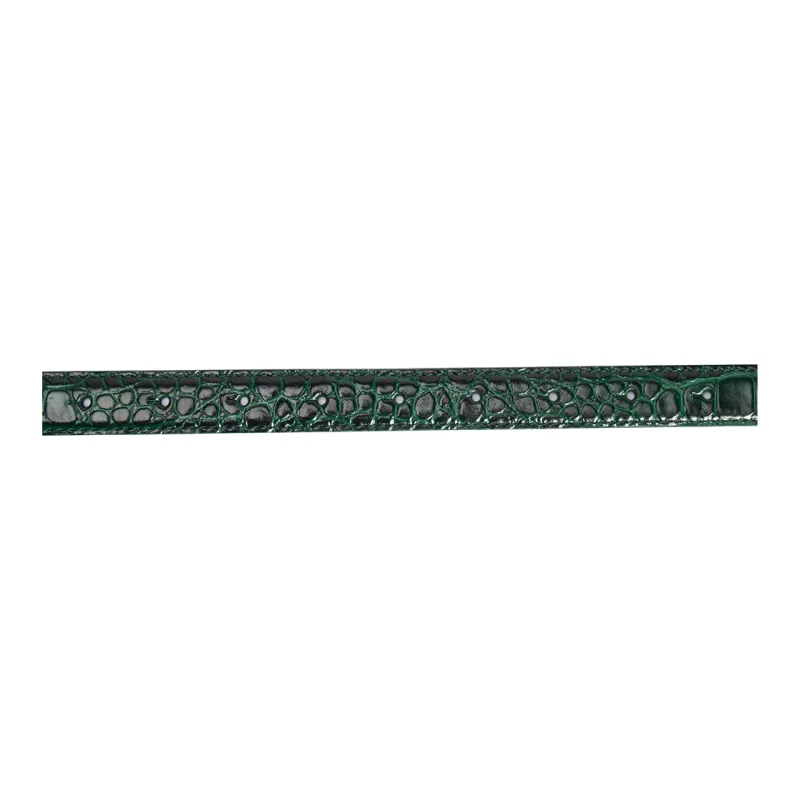 Balenciaga Cow Leather Belts Women's Green Width 1.9cm-2